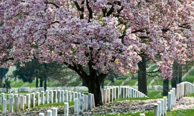 Memorial Day 2021 – Arlington National Cemetery